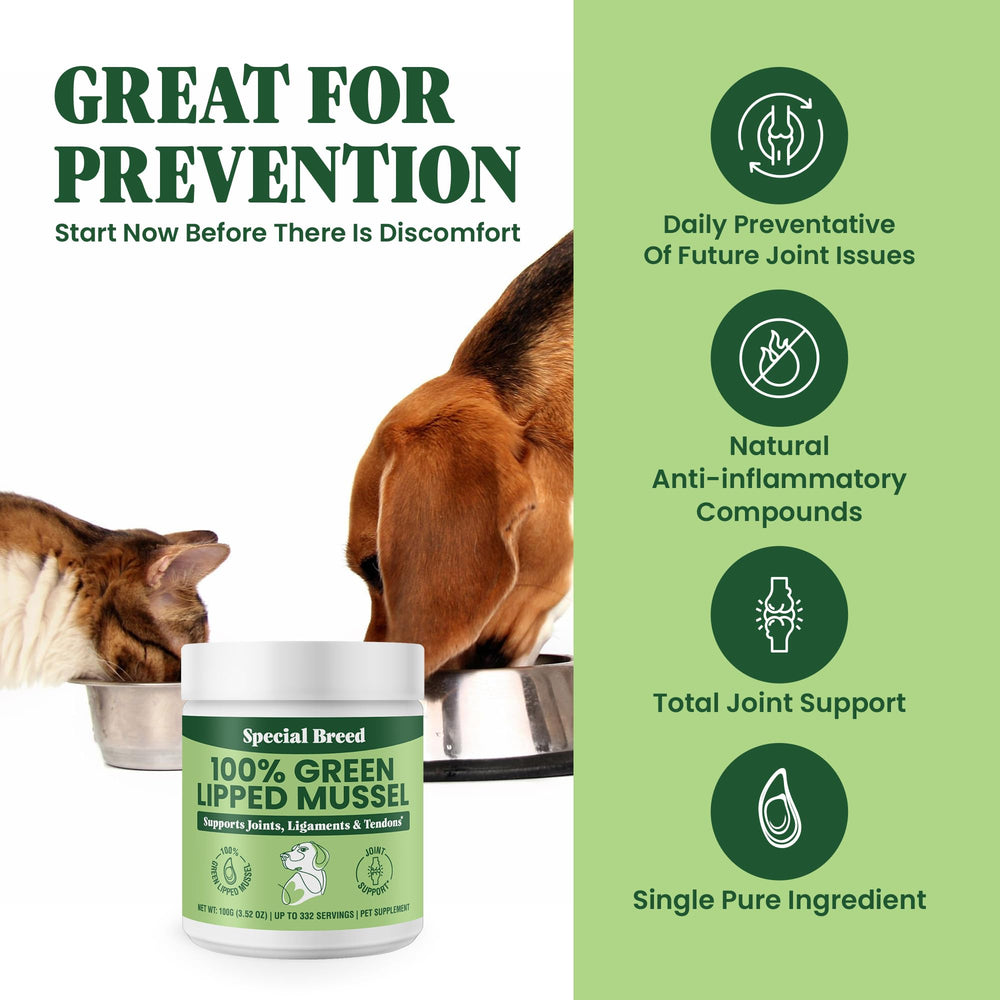 Special Breed green lipped mussel powder jar showcasing NZ origin and quality.