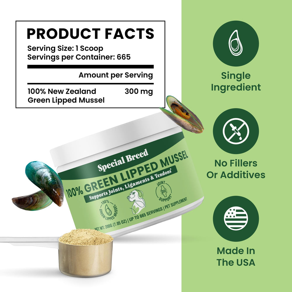 Special Breed green lipped mussel powder with measuring scoop for consistent nutrition.