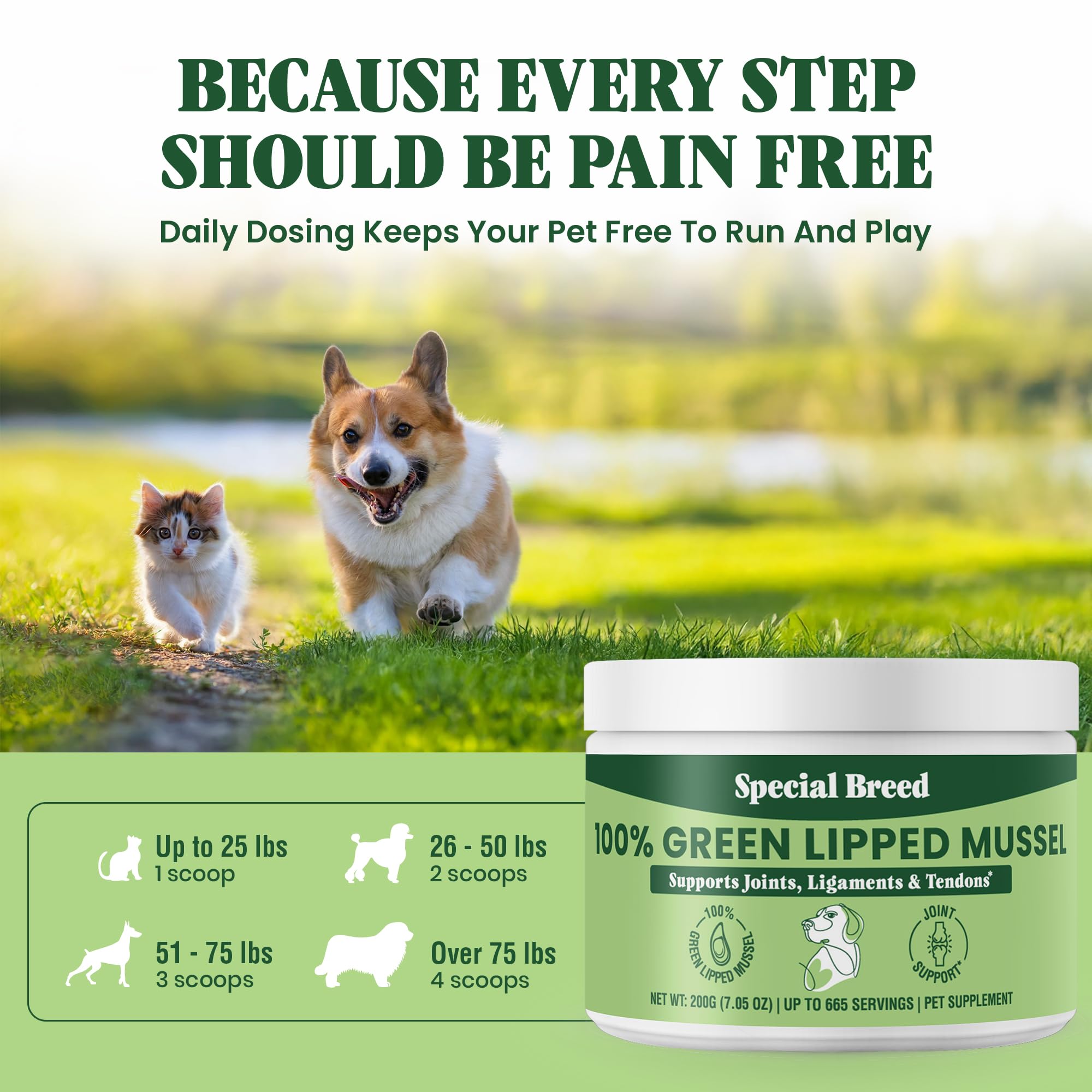 Special Breed green lipped mussel powder mixed into wet food supports flexibility.