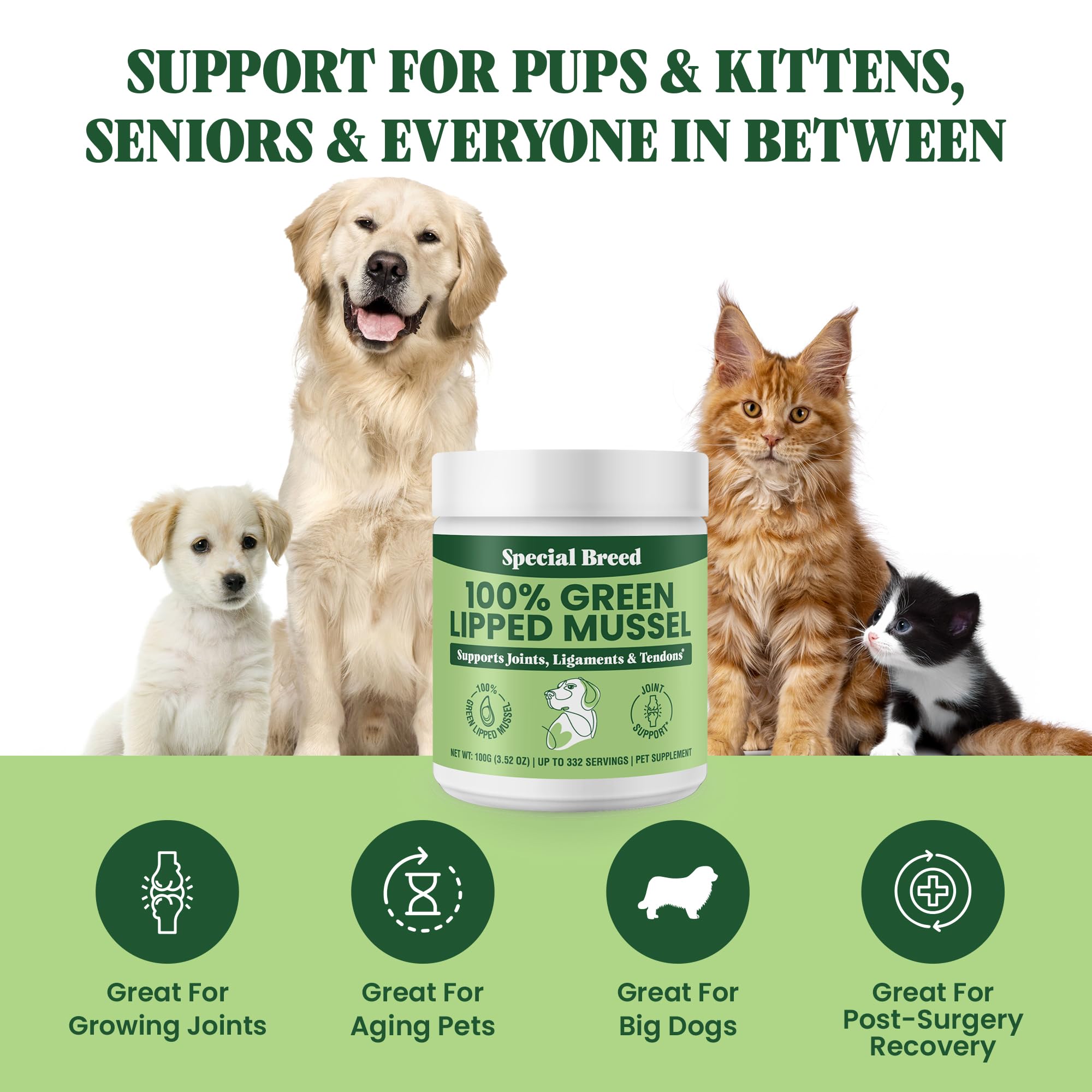Special Breed powder being mixed into dog food for easy daily feeding.