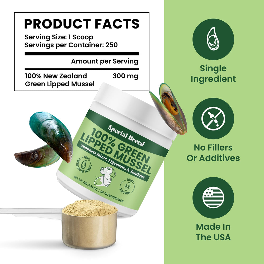 Special Breed green lipped mussel powder from New Zealand highlights quality ingredients for joints.