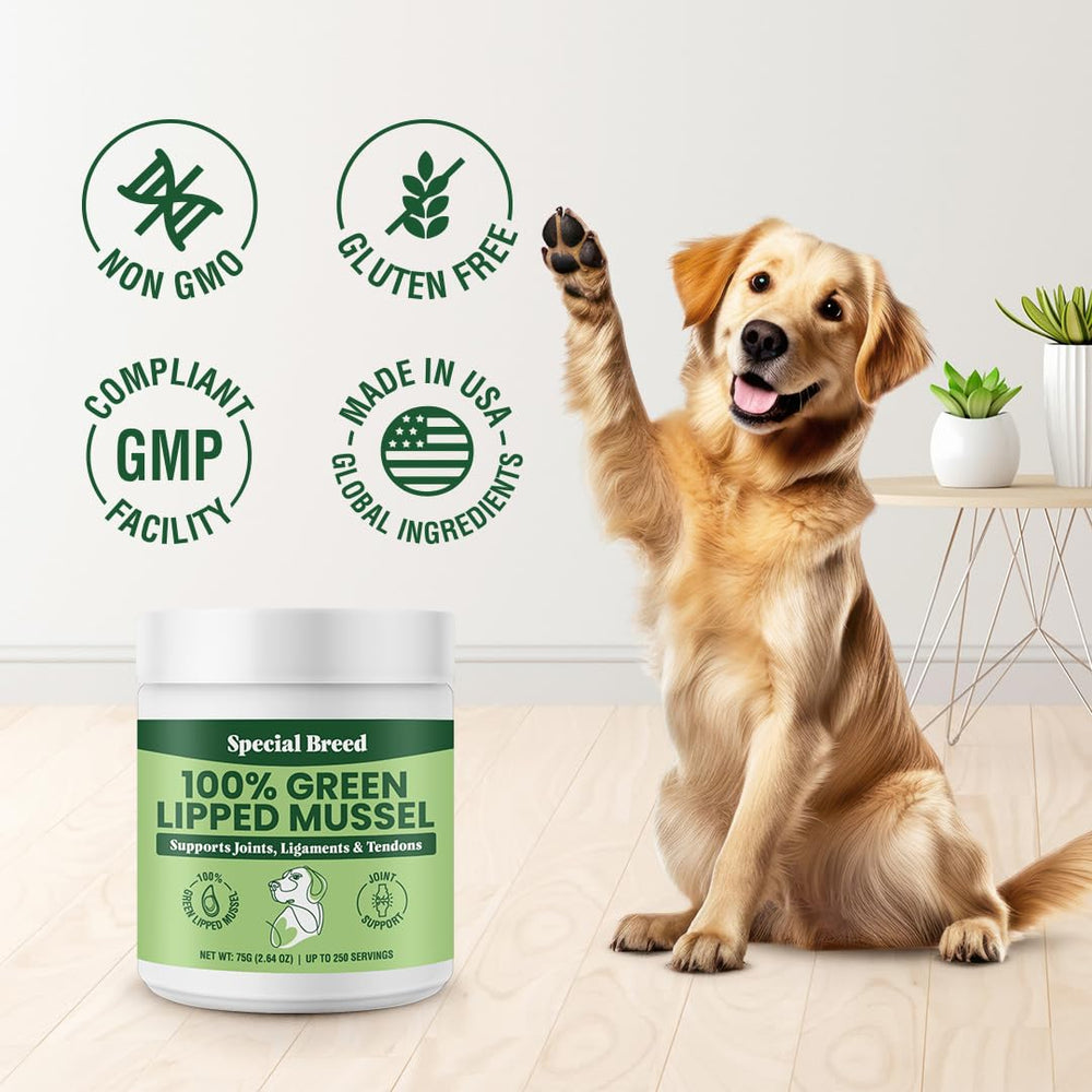 Special Breed green lipped mussel powder packaging indicating 75-gram size and servings.