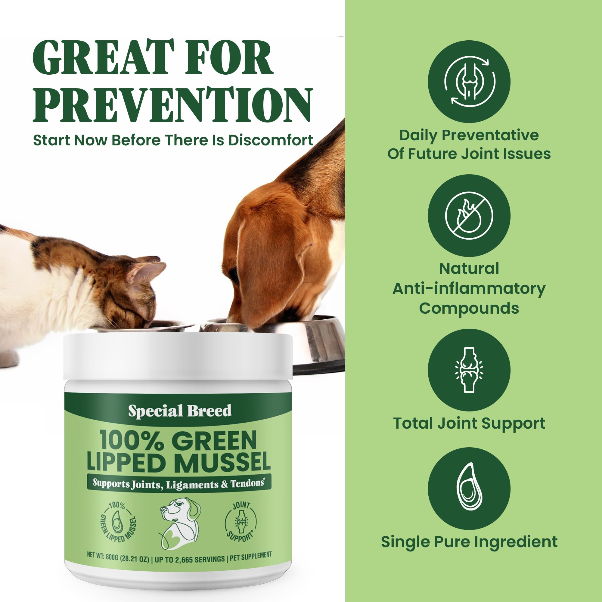 Special Breed mussel powder poured onto pet food for mixing