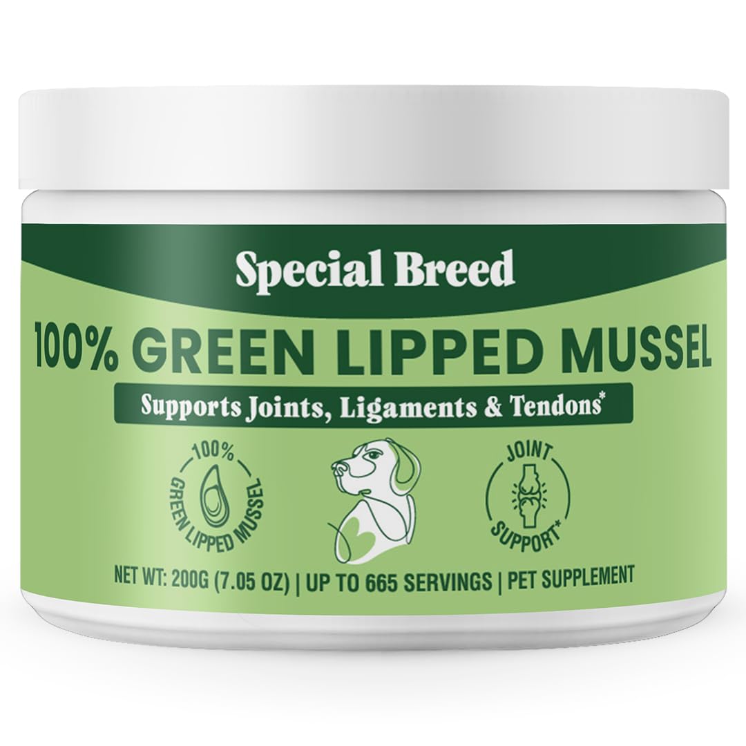 Special Breed green lipped mussel powder being poured into a dog bowl for joint support.