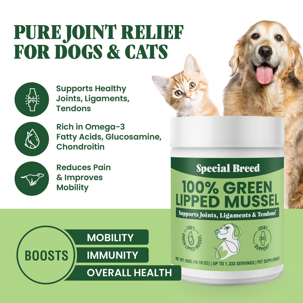 Special Breed Green Lipped Mussel Powder pour showcases easy mixing into meals