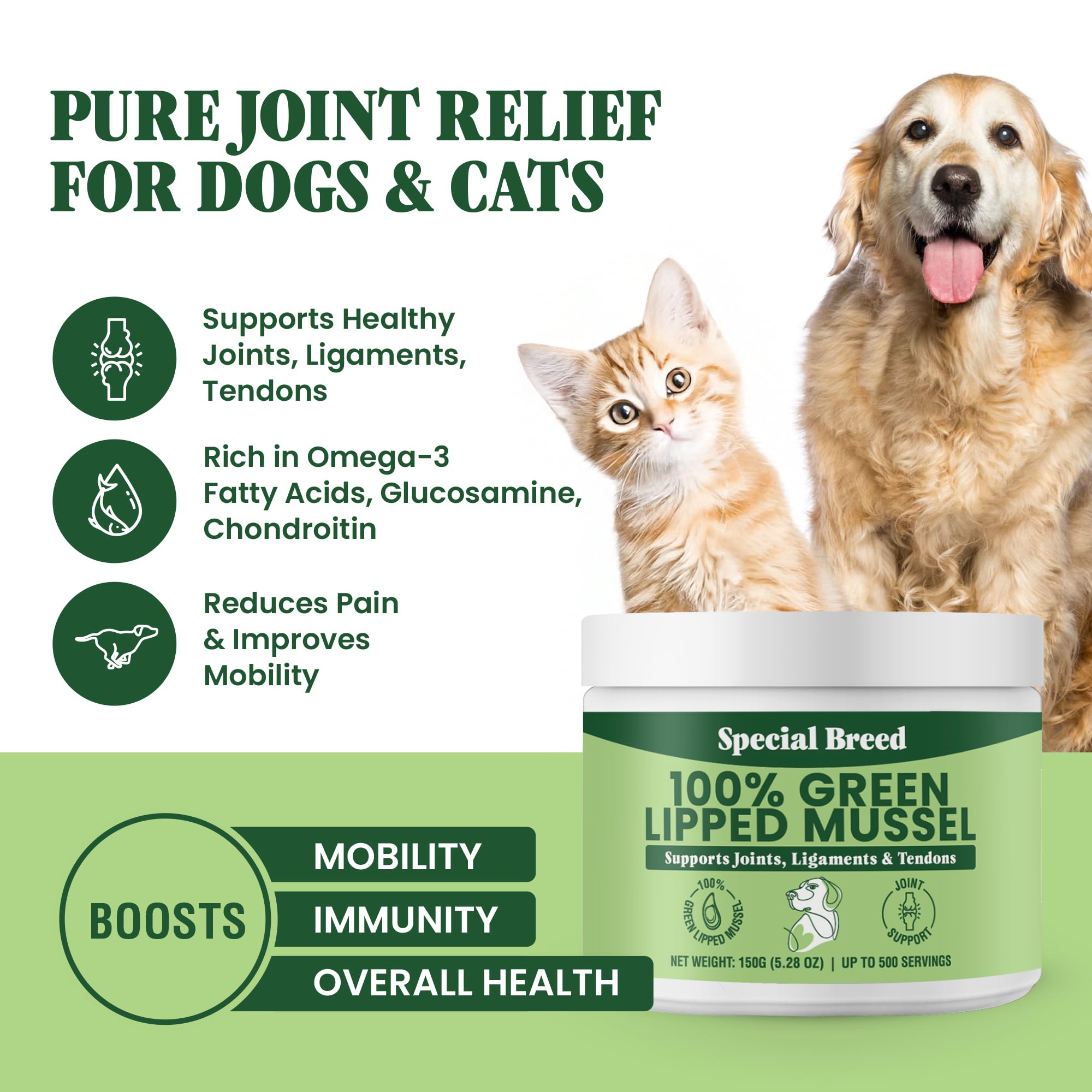 Special Breed green-lipped mussel powder scoop in a bowl for easy dosing
