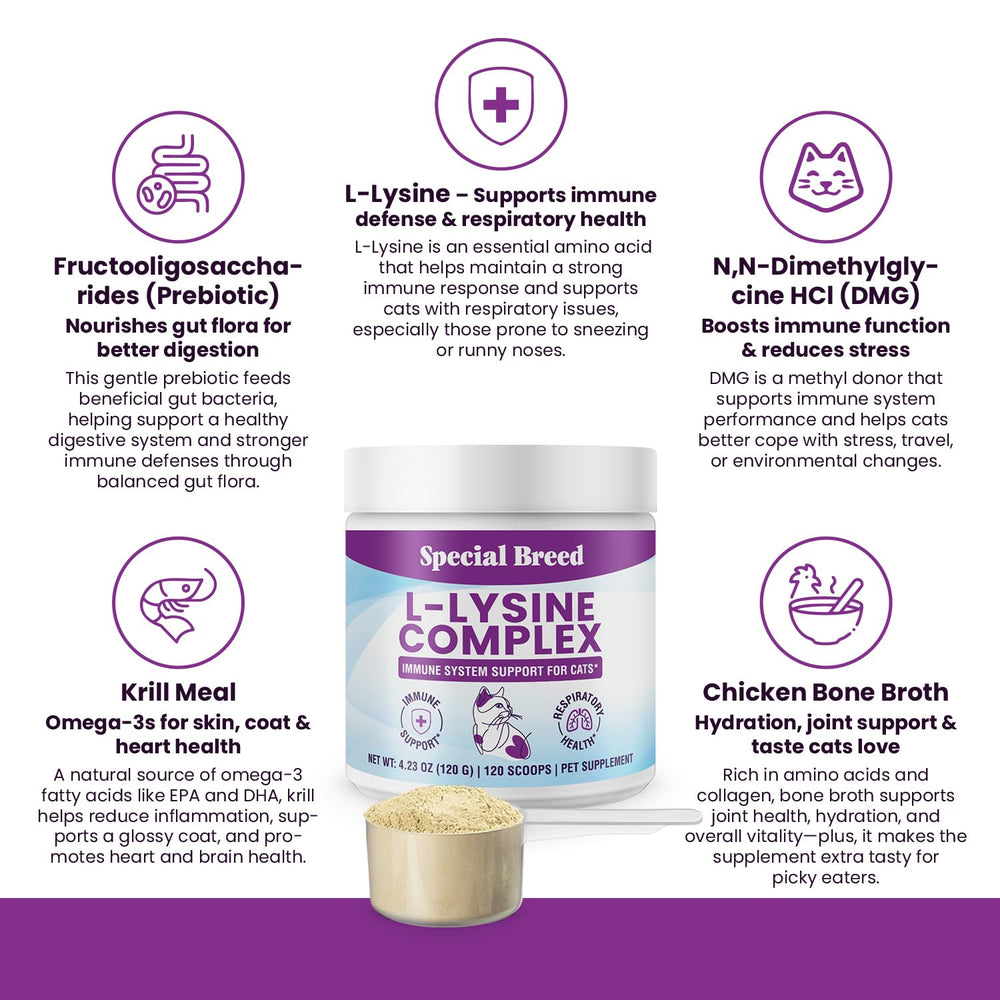 Special Breed L-Lysine powder closeup texture highlighting fine powder