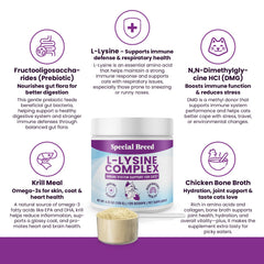 Special Breed L-Lysine powder closeup texture highlighting fine powder