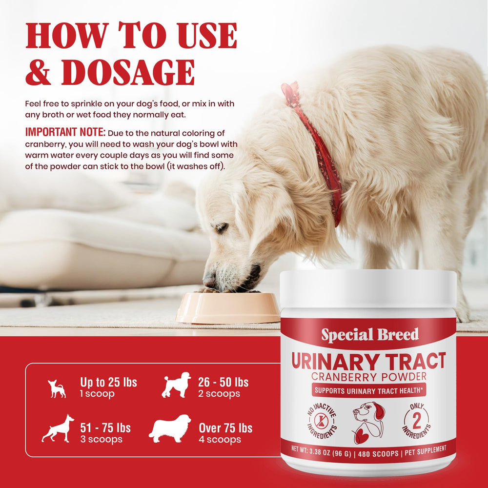 Special Breed cranberry powder for older dogs aiding comfortable bladder function