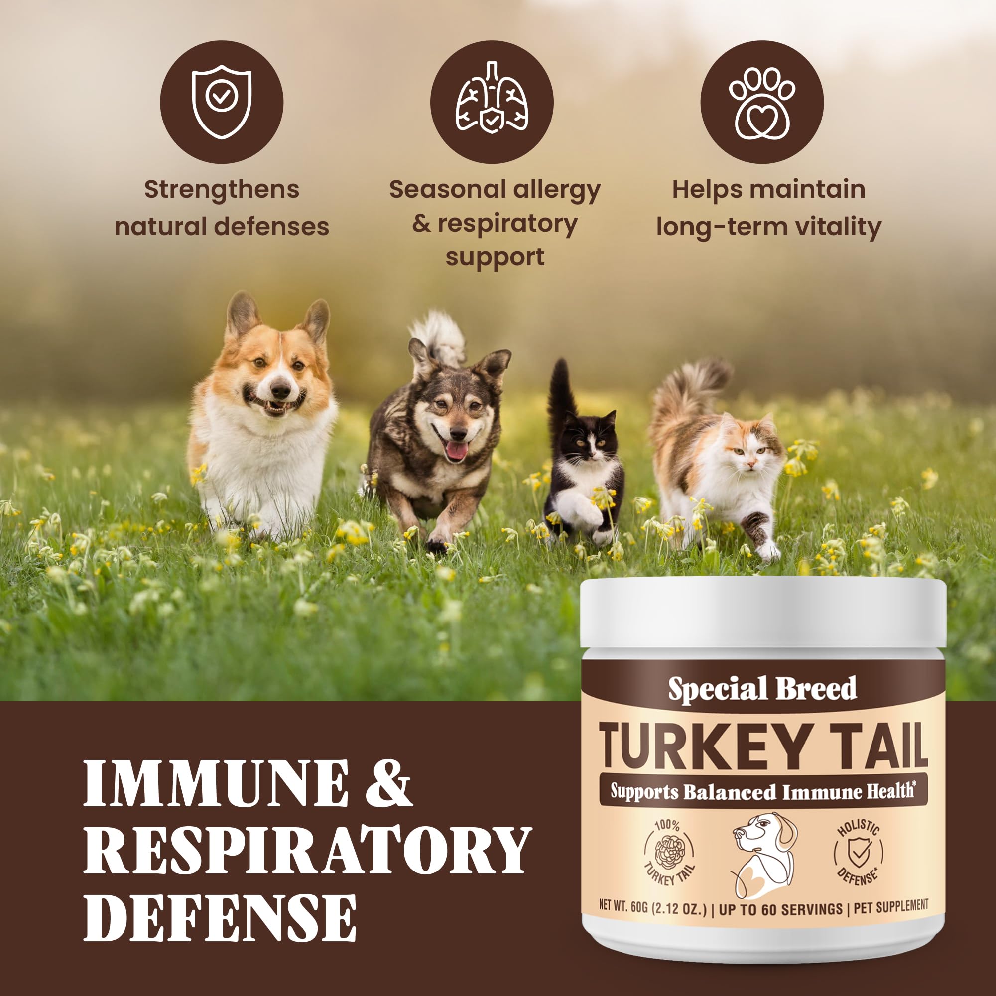Special Breed pets dining with turkey tail powder sprinkled on kibble.