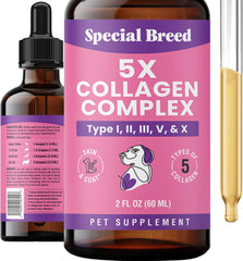 Special Breed premium collagen for dogs bottle closeup signals trusted daily joint and coat support