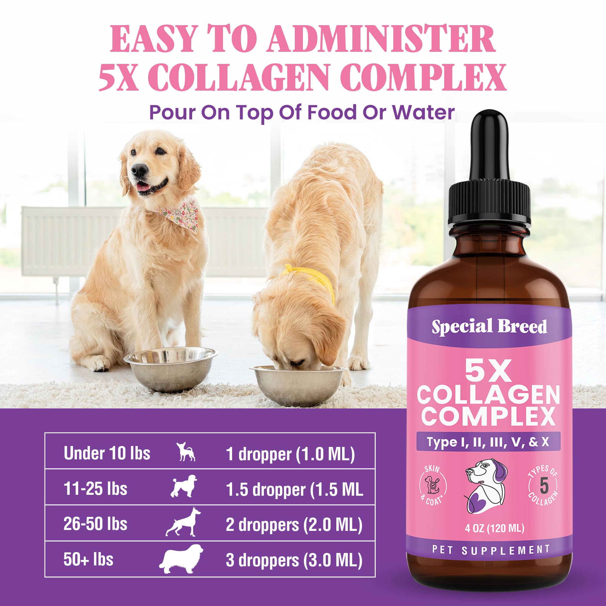 Special Breed collagen promotes skin health and a glossy coat.