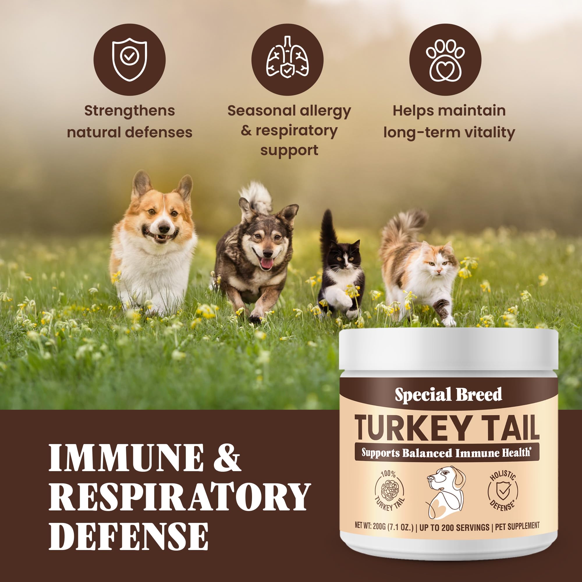 Special Breed turkey tail dog meal-mixing for seamless nutrition