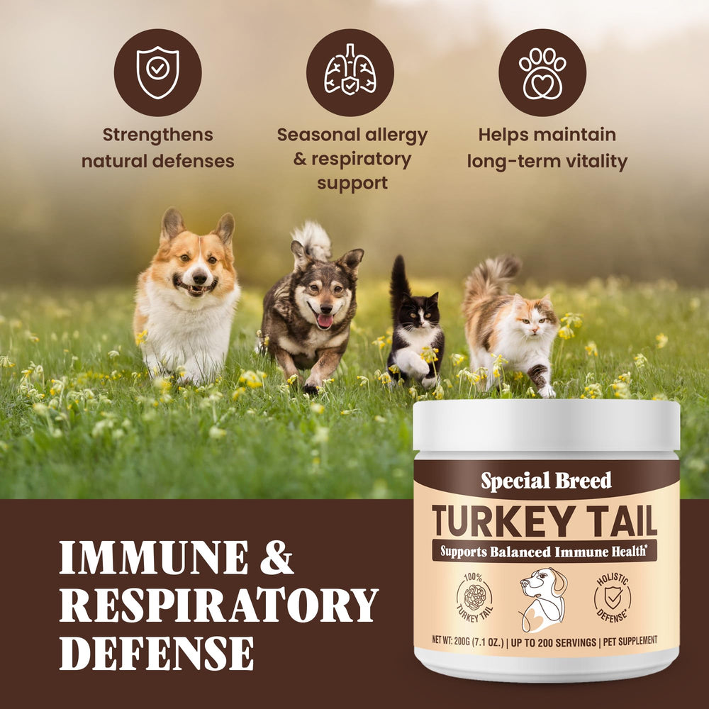 Special Breed turkey tail dog meal-mixing for seamless nutrition