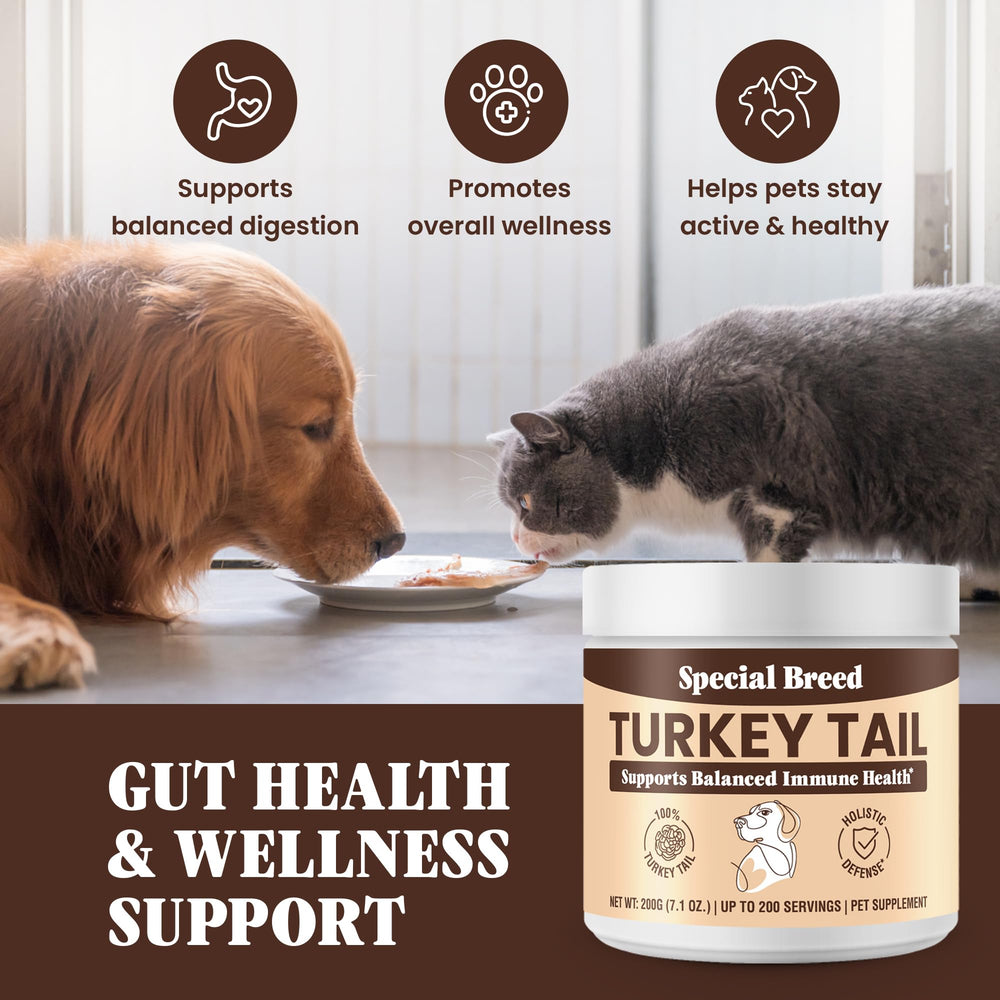 Special Breed turkey tail immunity balance scene for daily pet wellness