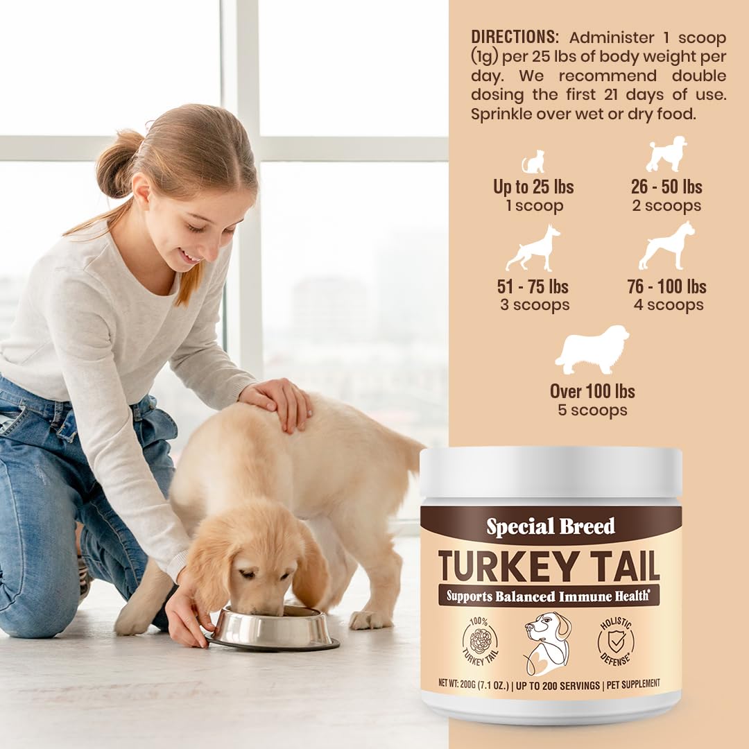 Special Breed turkey tail no-fillers label highlights pure powder