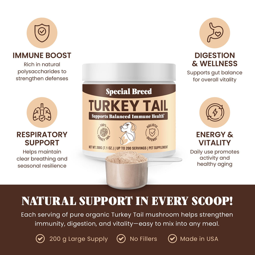 Special Breed Turkey Tail powder in dog bowl for easy meal mixing and digestion