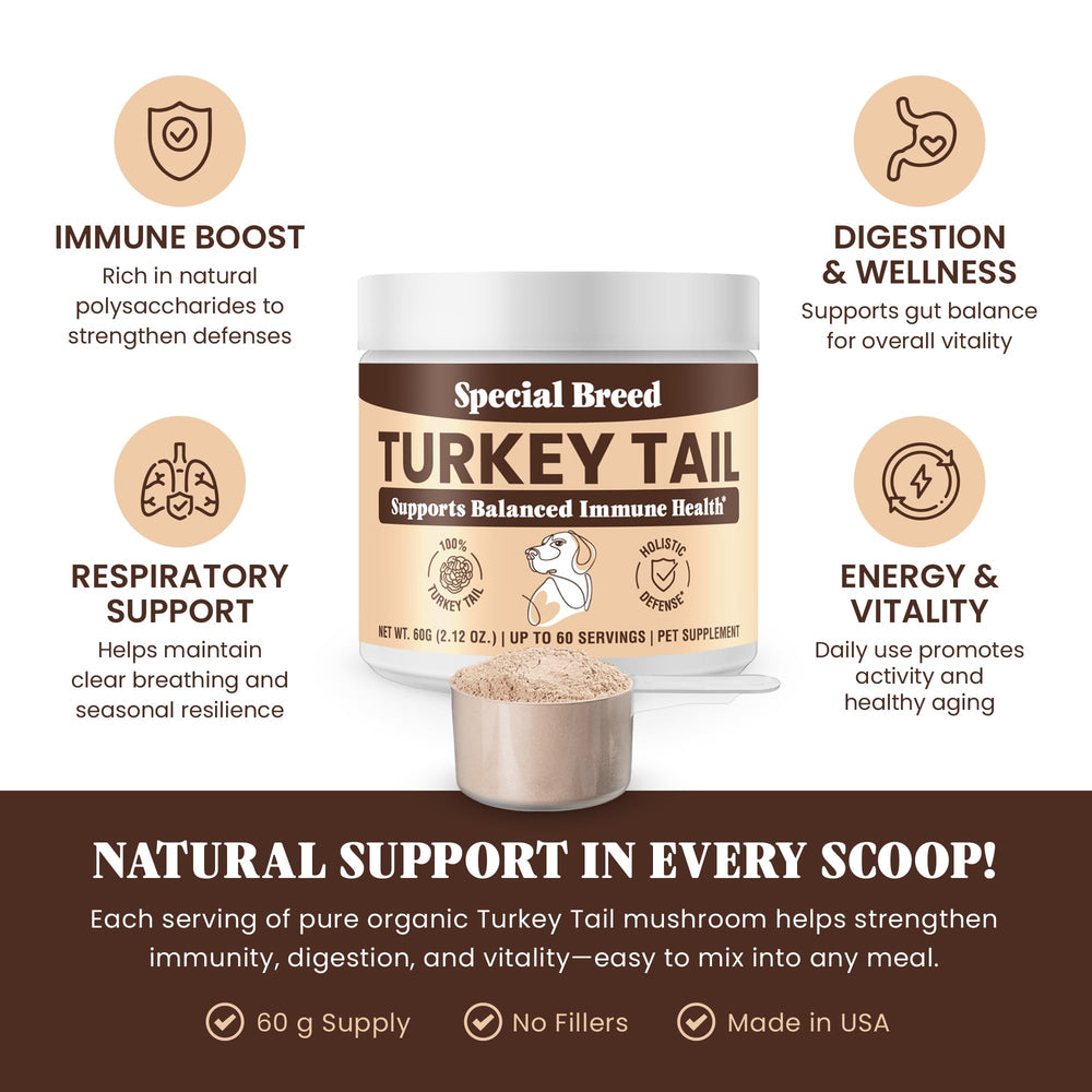 Special Breed turkey tail powder being measured with a scoop for daily use.