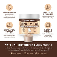 Special Breed turkey tail powder being measured with a scoop for daily use.