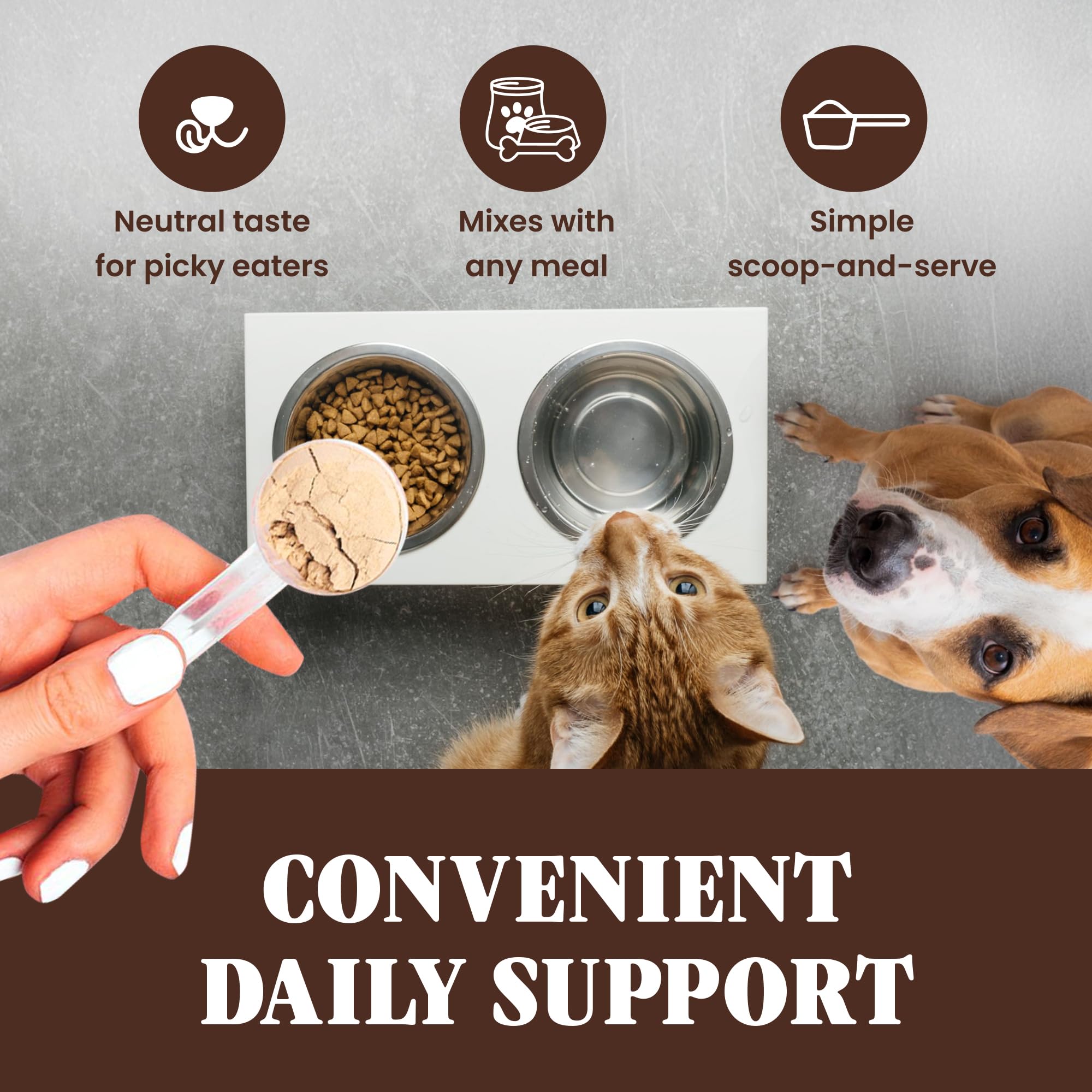 Special Breed turkey tail powder with a simple, single-ingredient label.