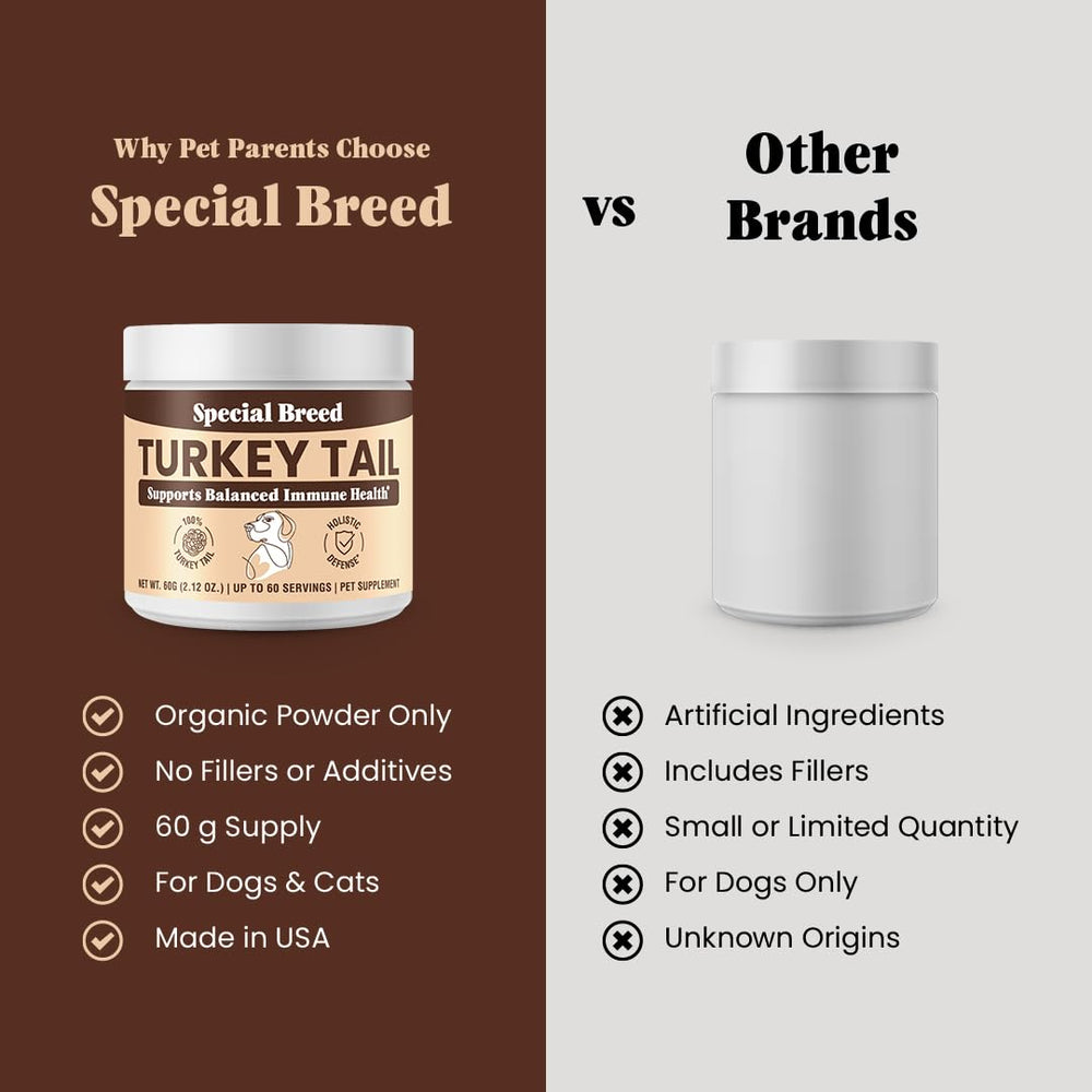 Special Breed organic turkey tail powder texture close-up reveals fine grain.