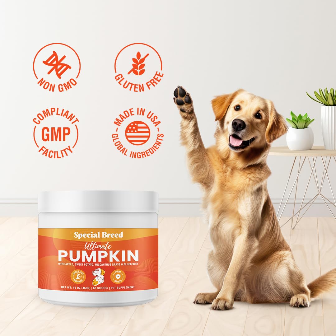 Special Breed Ultimate Pumpkin dog food topper used to mix with meals.