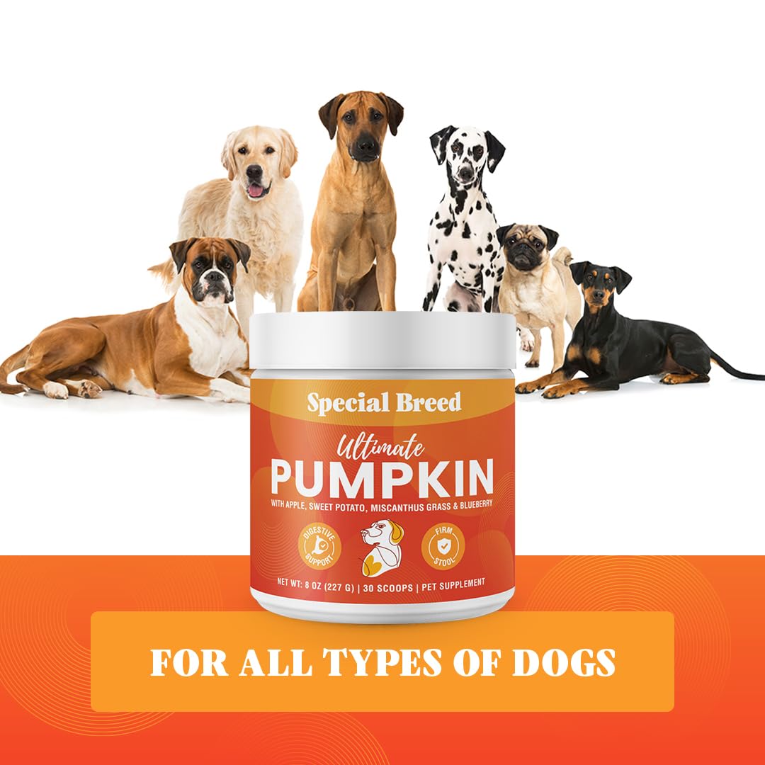 Special Breed Ultimate Pumpkin Powder topper adds flavor while supporting gut comfort.