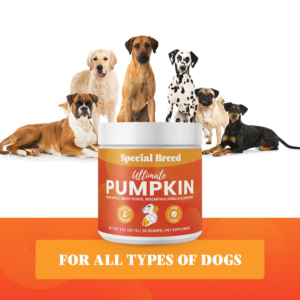 Special Breed Ultimate Pumpkin Powder topper adds flavor while supporting gut comfort.