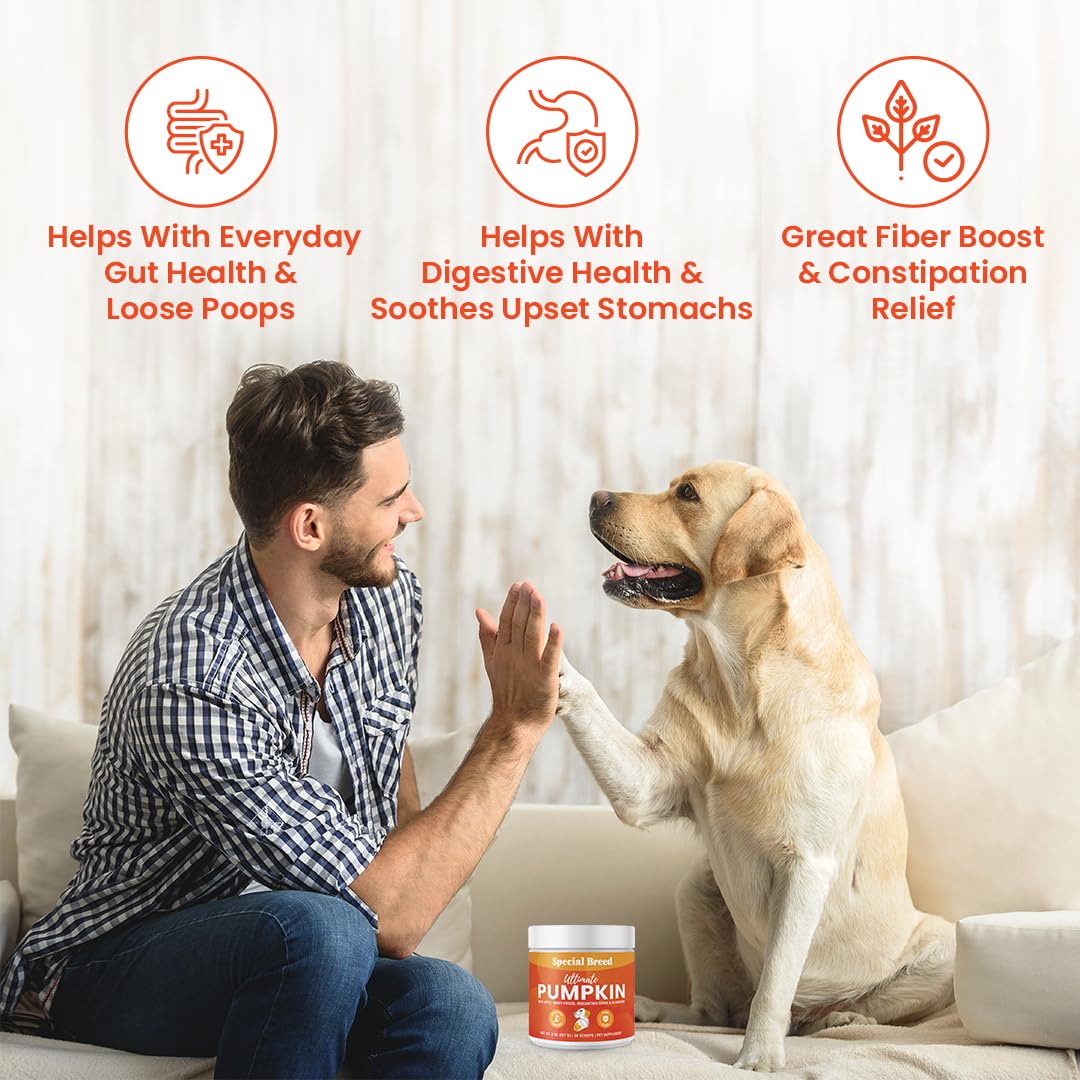Special Breed Ultimate Pumpkin Powder ingredients showcase organic pumpkin and berries for digestion support.