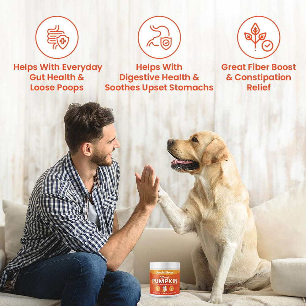 Special Breed Ultimate Pumpkin Powder ingredients showcase organic pumpkin and berries for digestion support.