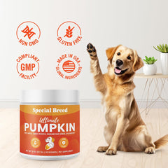 Special Breed Pumpkin Powder puree mix shows convenient texture for meals.