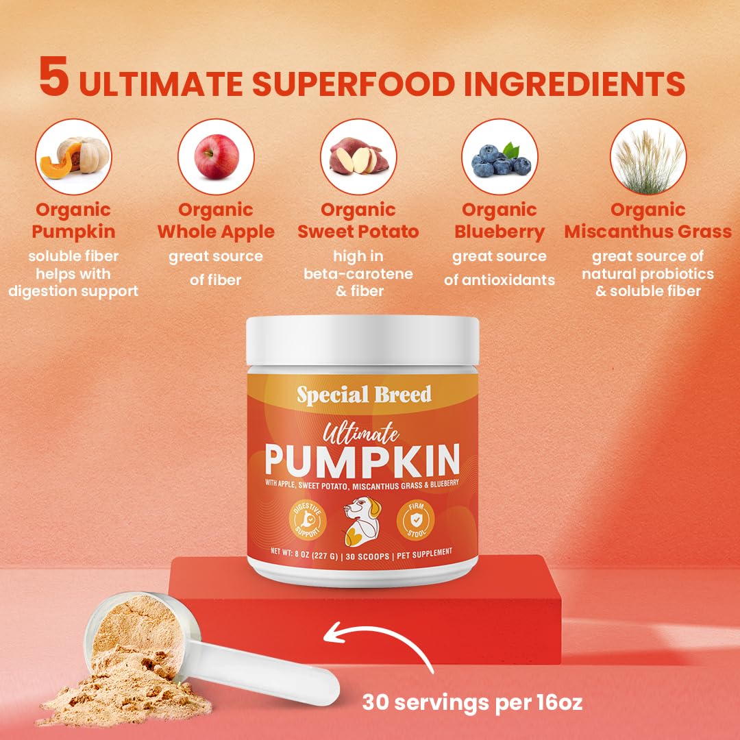 Special Breed Pumpkin Powder scoop demonstrates easy portioning for daily digestive support.