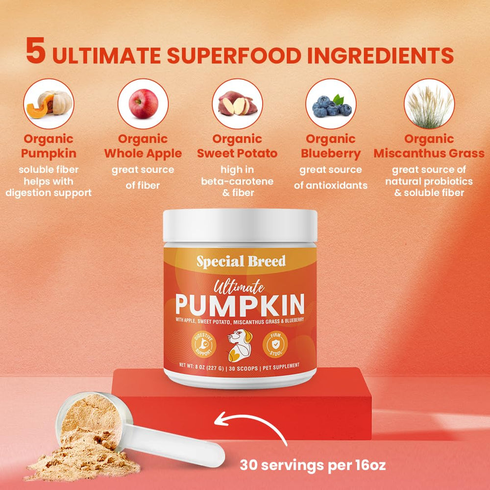 Special Breed Pumpkin Powder scoop demonstrates easy portioning for daily digestive support.