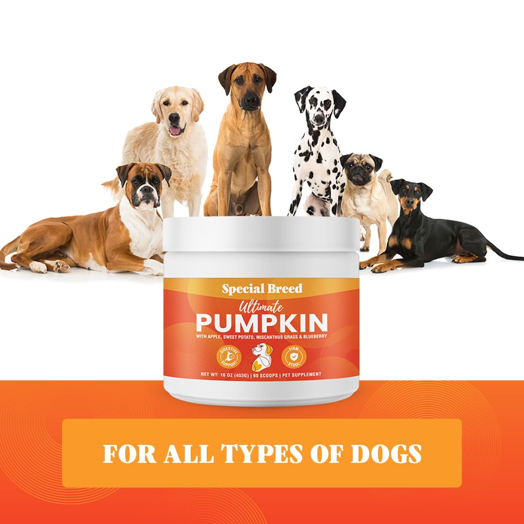 Special Breed Ultimate Pumpkin USA-made badge indicates safety and quality.