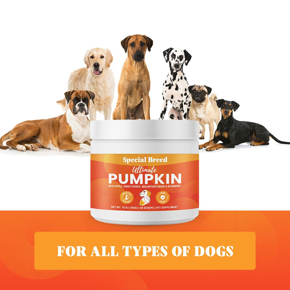 Special Breed Ultimate Pumpkin USA-made badge indicates safety and quality.