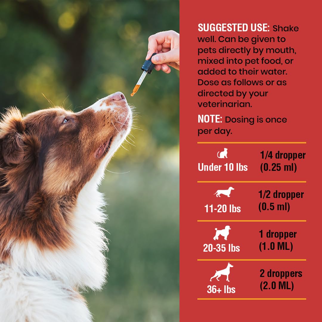 Special Breed USA-made stamp on bottle conveys safety and domestic manufacturing.