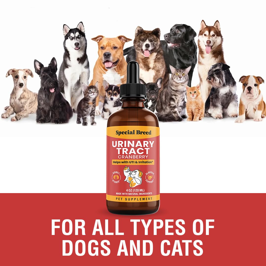 Special Breed UTI supplement cat dosing image emphasizes tasty liquid formula for picky eaters.