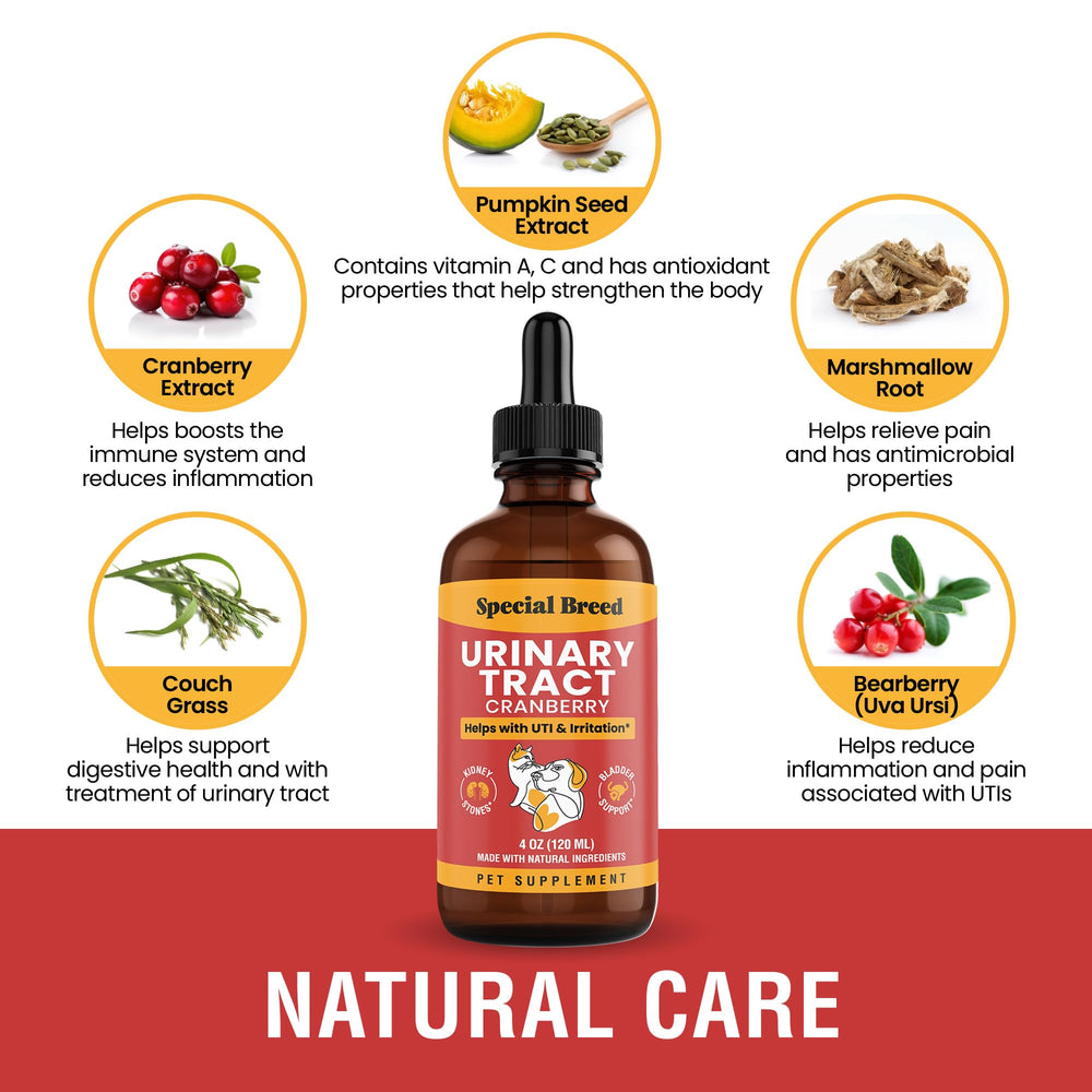 Special Breed UTI supplement label closeup showing cranberry blend for urinary health.