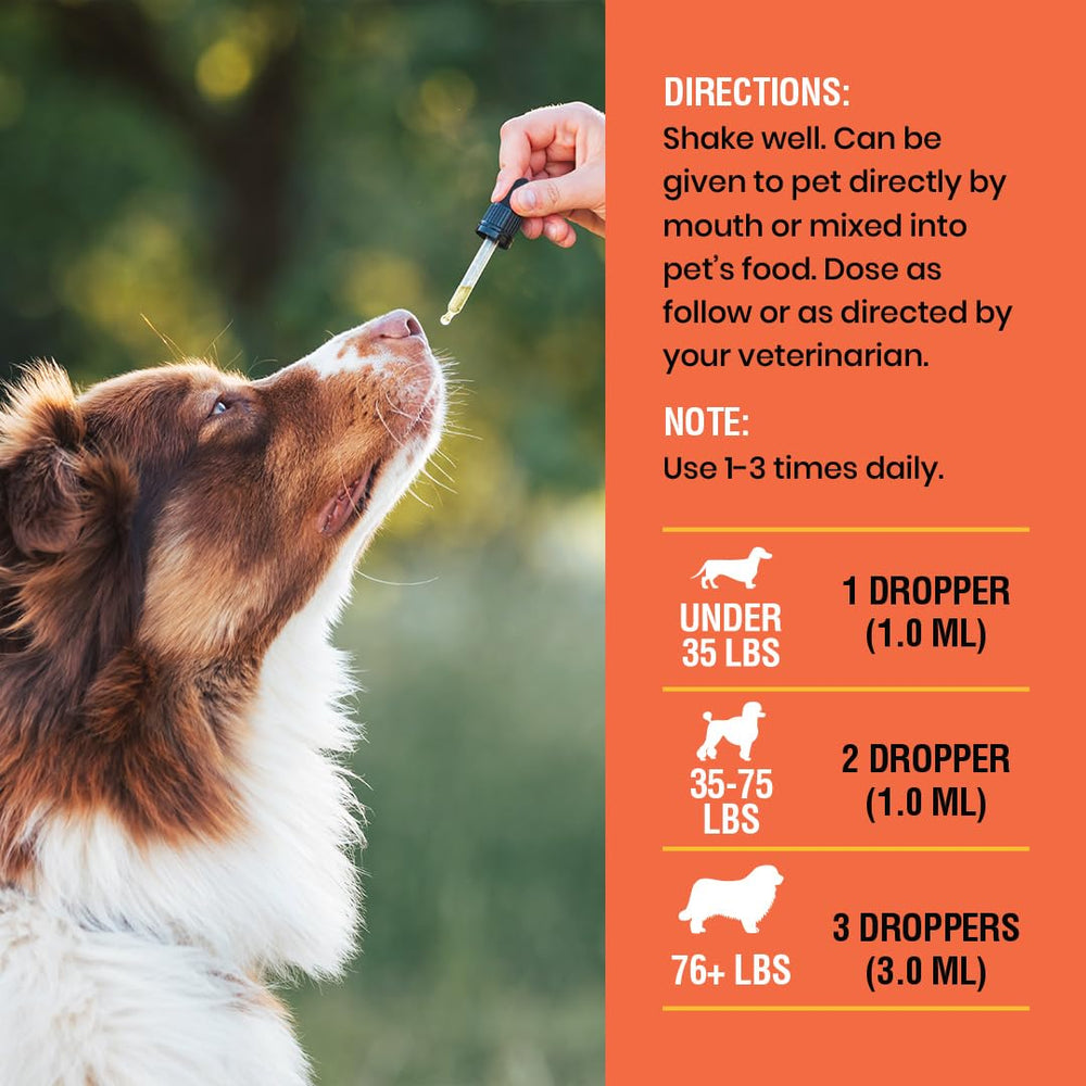 Special Breed Vitamin C for Dogs bottle closeup suggests immune support potential