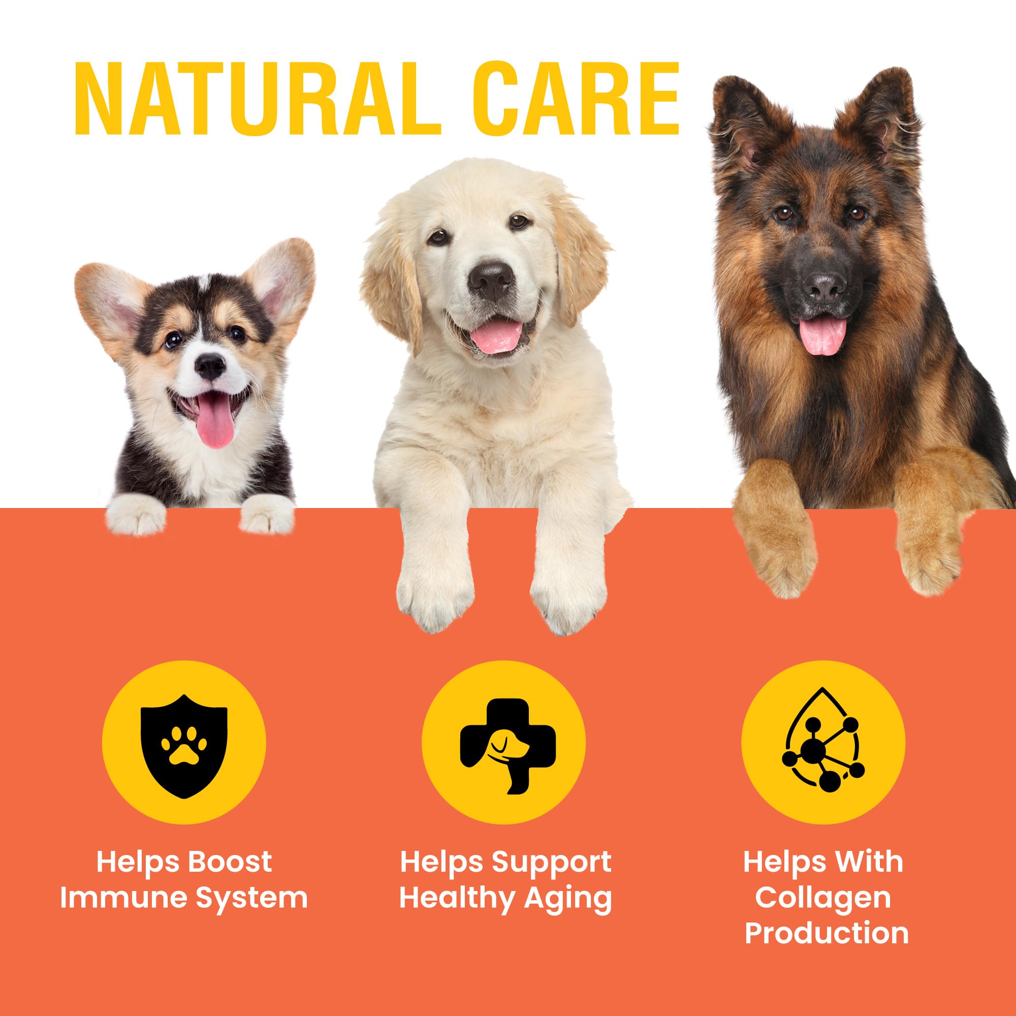 Special Breed Vitamin C for Dogs bacon liquid dose dropper enables quick dosing