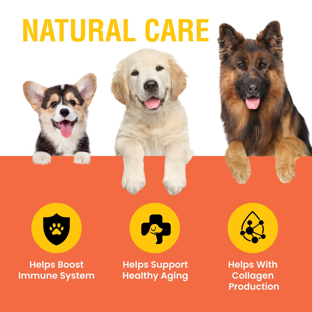 Special Breed Vitamin C for Dogs bacon liquid dose dropper enables quick dosing