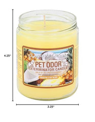 Specialty Pet Products Pet Odor Exterminator candle pack-2 provides two tropical scents for fresh spaces.