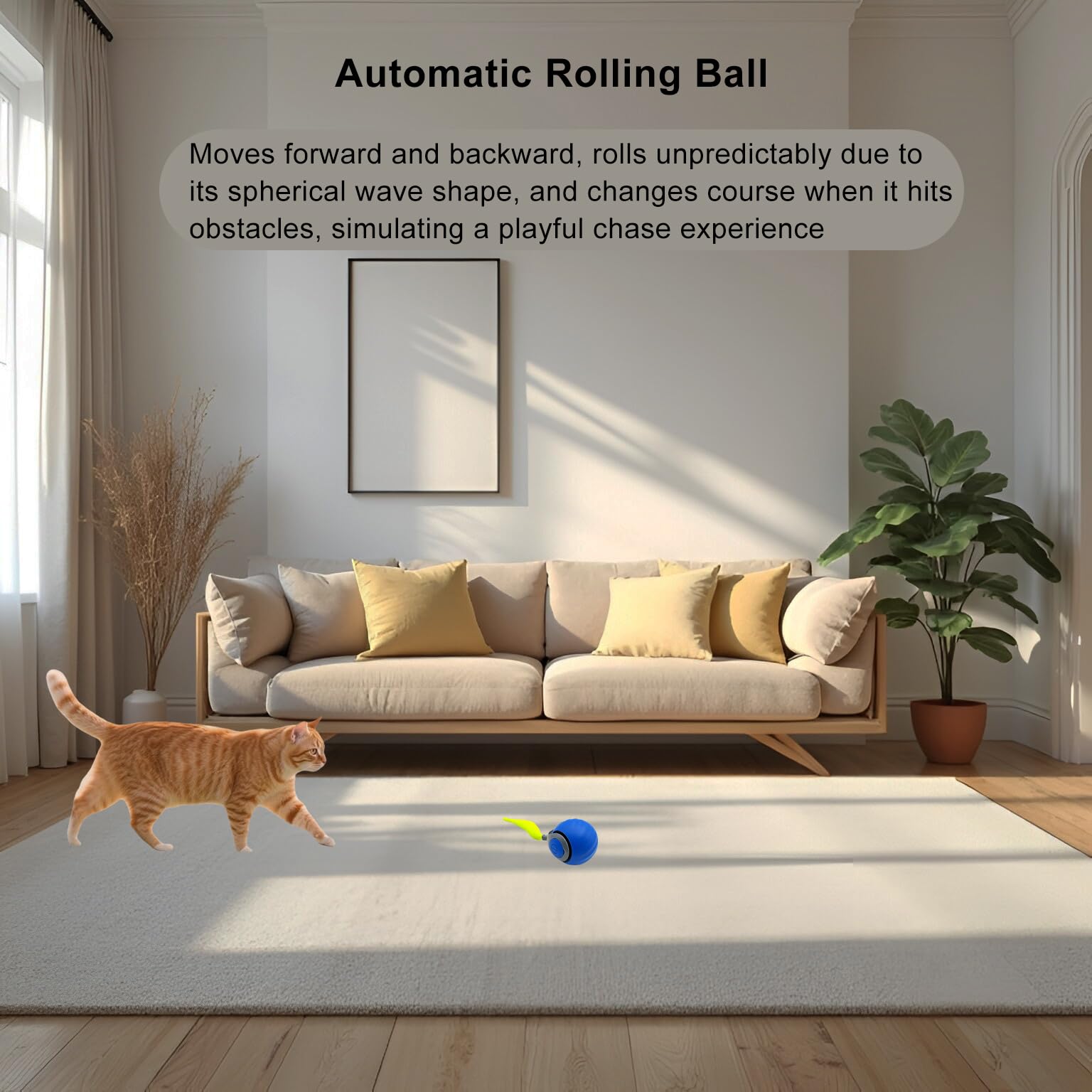 Speedy Ball 2.0 top view shows rolling motion for endless indoor fun.