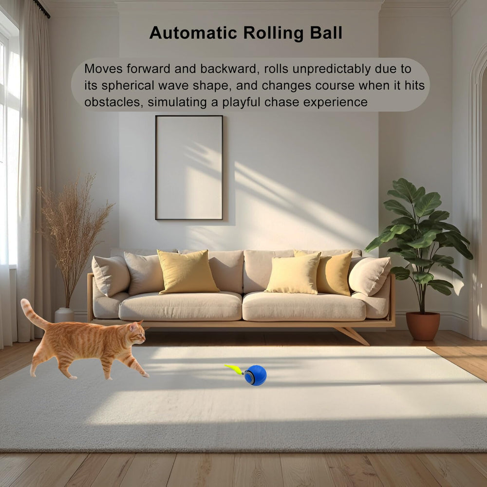 Speedy Ball 2.0 top view shows rolling motion for endless indoor fun.