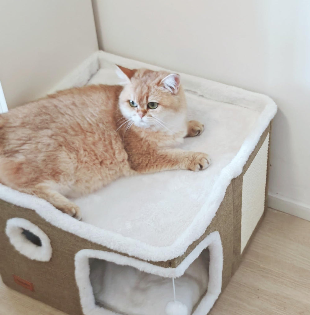 Spindro green cat bed complements living room while providing privacy