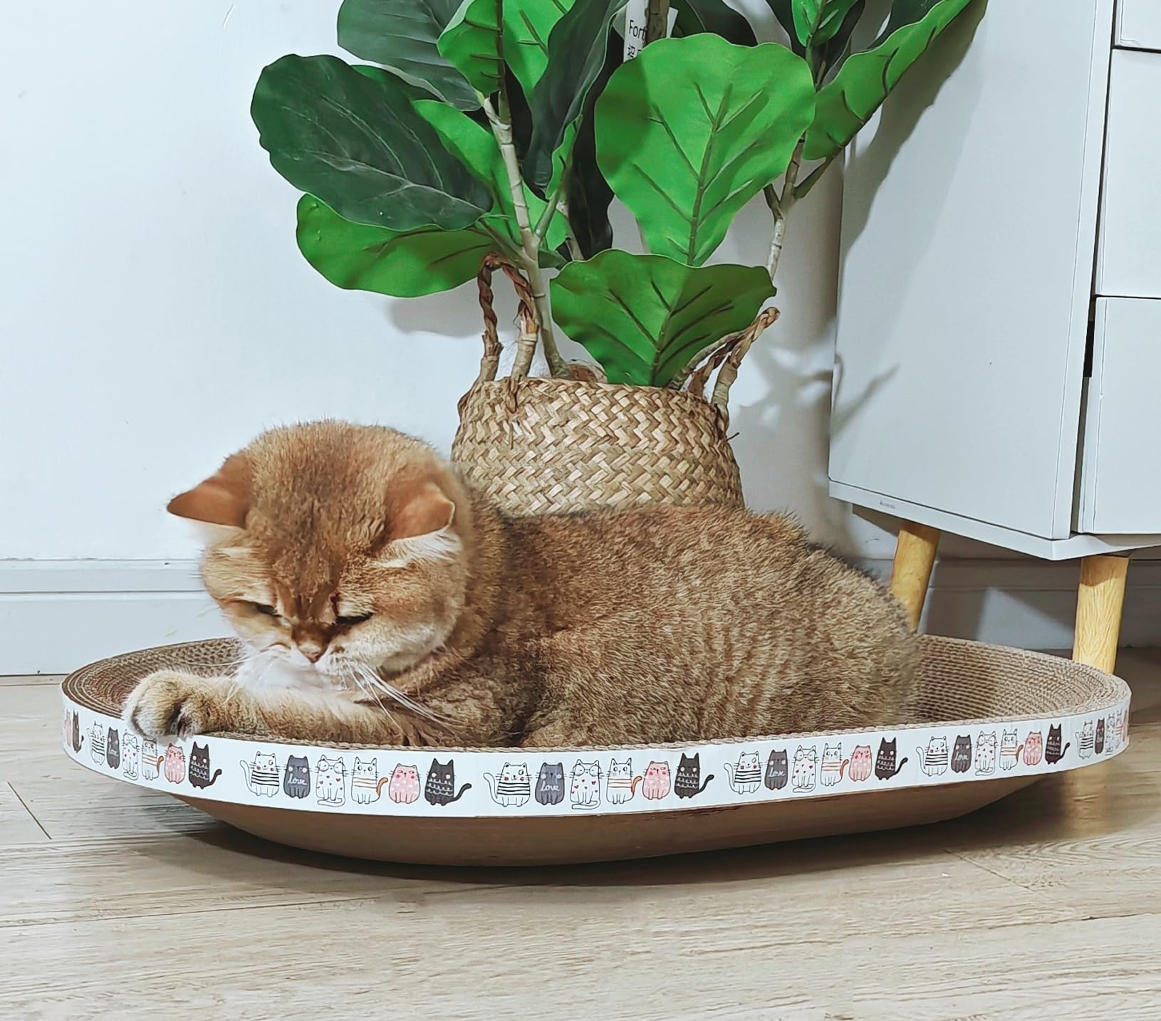 Spindro-indoor-cat-scratcher-sustainability: eco-friendly cardboard designed for indoor use and repeated play.