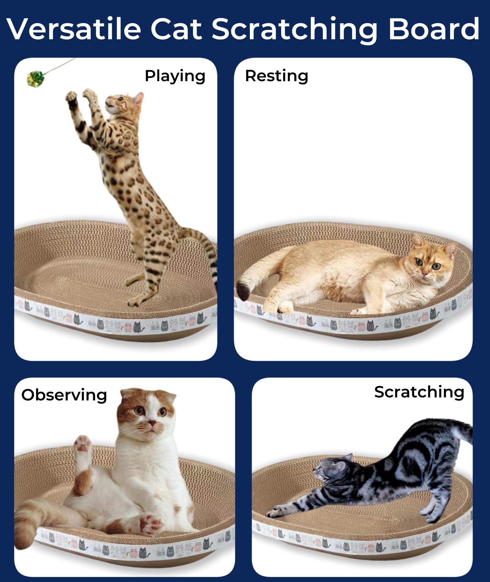 Spindro-two-pack-display: convenient two-pack setup for quick rotation and renewed scratching spots.
