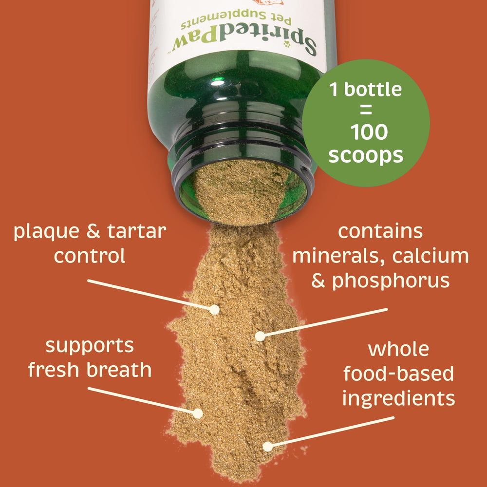 Spirited Paw Dental powder in cat bowl highlights easy administration for felines.