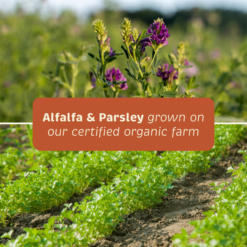 Spirited Paw package label shows 165 g size and minerals.