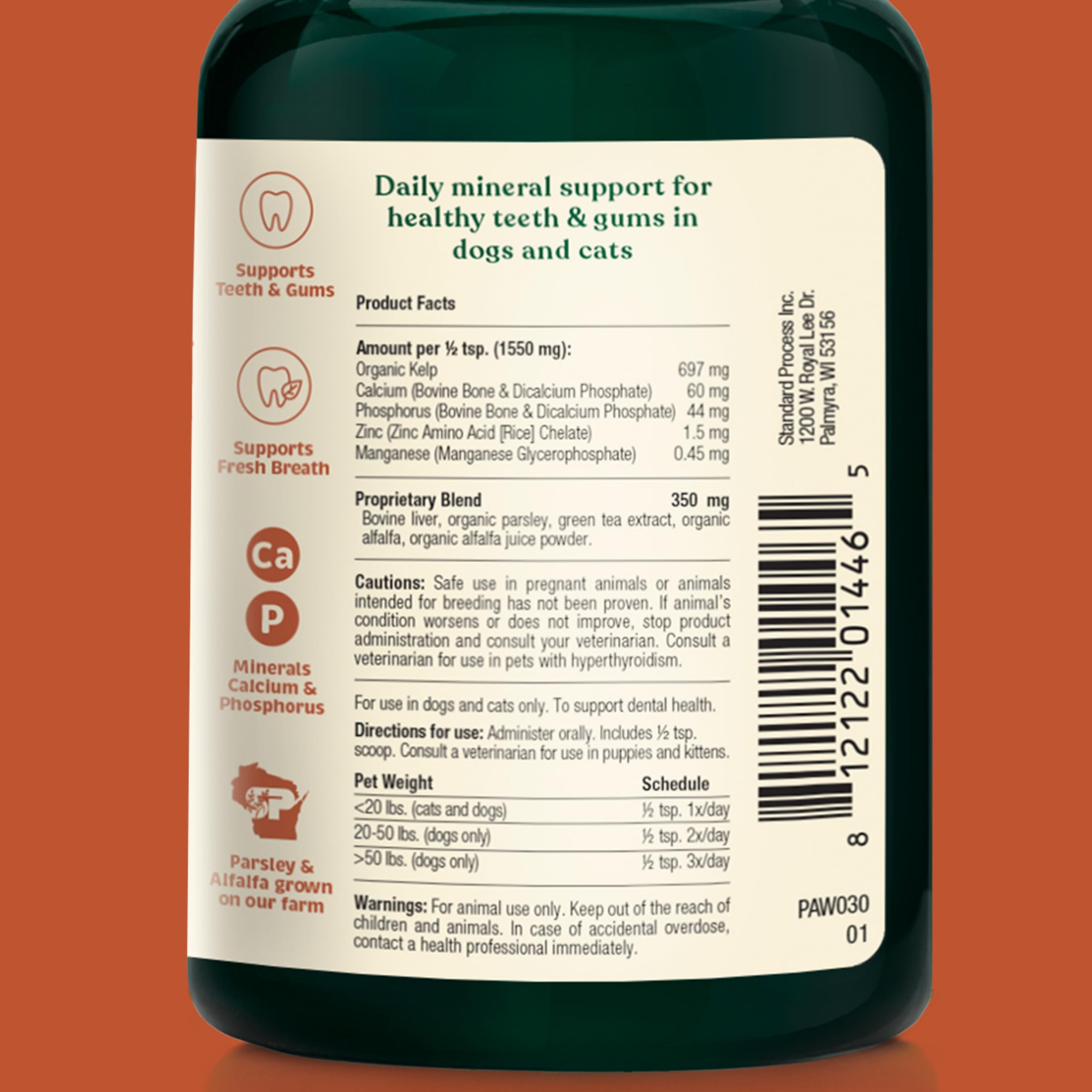 Spirited Paw Dental powder tub side shows label with calcium and kelp benefits for dental health.
